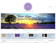 Tablet Screenshot of moralev.com